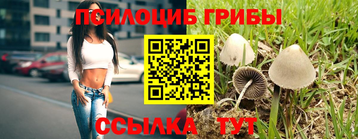 Галлюциногенные грибы Psilocybine cubensis  Вход с VPN  Воскресенск  Галлюциногенные грибы ЛСД 