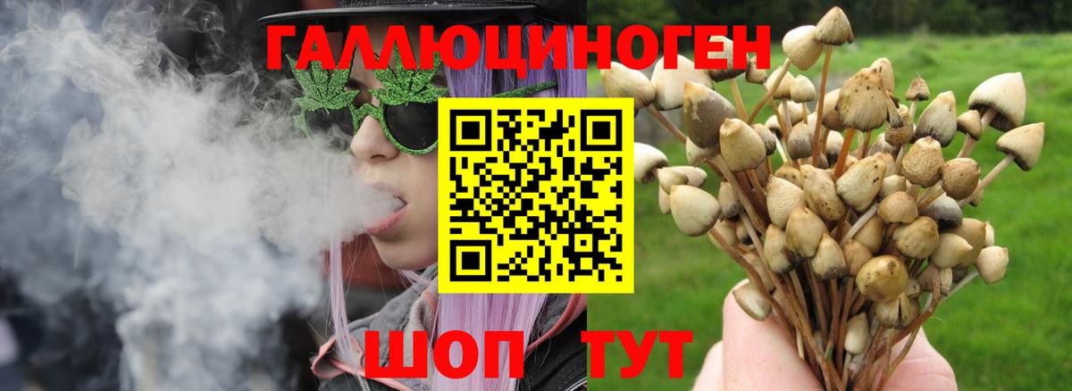 Галлюциногенные грибы прущие грибы Воскресенск